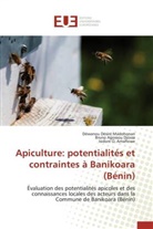 Am, Isidore O. Amahowe, Bruno Agosso Djossa, Bruno Agossou Djossa, Dèwanou Désir Madohonan, Dèwanou Désiré Madohonan - Apiculture: potentialites et