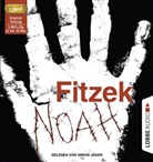 Sebastian Fitzek, Simon Jäger - Noah, 2 Audio-CD, 2 MP3 (Audio book)