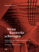 Hugo Bachmann, Stiftung für Baudynamik und Erdbebeningenieurwissen - Wenn Bauwerke schwingen