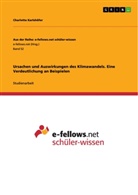 Charlotte Karlshöfer - Ursachen und Auswirkungen des Klimawandels. Eine Verdeutlichung an Beispielen