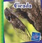 Michael Shoulders, Mike Shoulders - Cicada