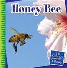 Katie Marsico - Honey Bee