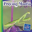 Tamra Orr, Tamra B Orr, Tamra B. Orr - Praying Mantis