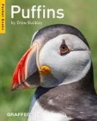 Drew Buckley, Drew Buckley - Puffins