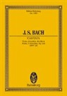 Johann Sebastian Bach, Arnold Schering - Kantate Nr. 119