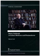 Maria Irod - Dieter Schlesak zwischen Moderne und Postmoderne