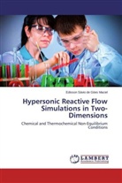 Edisson Sávio de Góes Maciel - Hypersonic Reactive Flow Simulations in Two-Dimensions