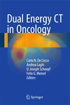 Carlo N. de Cecco, Carlo N. De Cecco, Carlo Nicola De Cecco, U Joseph Schoepf et al, Andre Laghi, Andrea Laghi... - Dual Energy CT in Oncology