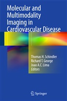 Joao A C Lima, Richard T. George, Joao A. C. Lima, Joao A.C. Lima, Thomas H. Schindler, Richar T George... - Molecular and Multimodality Imaging in Cardiovascular Disease