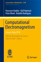 Housse Haddar, Houssem Haddar, Ral Hiptmair, Ralf Hiptmair, Peter Monk, Peter et al Monk... - Computational Electromagnetism