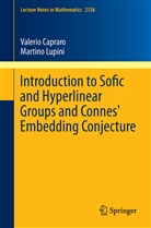Valeri Capraro, Valerio Capraro, Martino Lupini - Introduction to Sofic and Hyperlinear Groups and Connes' Embedding Conjecture