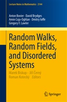 Anto Bovier, Anton Bovier, Davi Brydges, David Brydges, David C. Brydges, Amin Coja-Oghlan... - Random Walks, Random Fields, and Disordered Systems