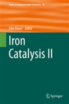 Eik Bauer, Eike Bauer - Iron Catalysis II