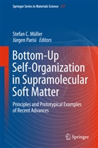 Stefa C Müller, Stefan C Müller, Stefan C. Müller, Parisi, Parisi, Jürgen Parisi - Bottom-Up Self-Organization in Supramolecular Soft Matter