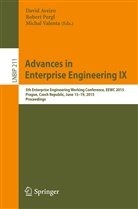 David Aveiro, Rober Pergl, Robert Pergl, Michal Valenta - Advances in Enterprise Engineering IX