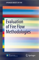 Matthew Benfer, Matthew E Benfer, Matthew E. Benfer, Joseph L Scheffey, Joseph L. Scheffey - Evaluation of Fire Flow Methodologies