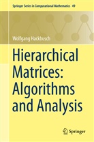 Wolfgang Hackbusch - Hierarchical Matrices: Algorithms and Analysis