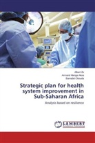 Arman Manga Akoa, Armand Manga Akoa, Barnabé Okouda, Alber Ze, Albert Ze - Strategic plan for health system improvement in Sub-Saharan Africa