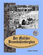 Günter Pinzke - Der Mallißer Braunkohlenbergbau