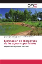María del Mar Barrado Moreno, Jesús Beltrán de Heredia  Alonso, Jesú Beltrán de Heredia Alonso, Jesús Beltrán de Heredia Alonso, Martín Gallardo, José Martín Gallardo - Eliminación de Microcystis de las aguas superficiales