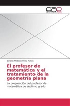 Zoraida Modesta Pérez Matías - El profesor de matemática y el tratamiento de la geometría plana