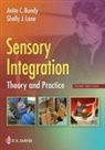 Anita C Bundy, Anita C. Bundy, F.A. Davis Company, Shelly J Lane, Shelly J. Lane - Sensory Integration