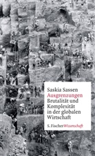 Saskia Sassen, Saskia (Prof.) Sassen - Ausgrenzungen