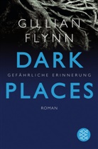 Gillian Flynn - Dark Places - Gefährliche Erinnerung
