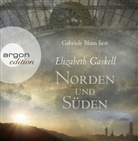 Elizabeth Gaskell, Gabriele Blum - Norden und Süden, 17 Audio-CDs (Hörbuch)