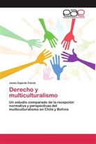 Jaime Gajardo Falcón - Derecho y multiculturalismo