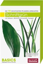 Karl-Michael Haake - Schnittgrün