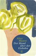 Alice Munro - Der Mond über der Eisbahn