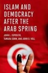 John L. Esposito, John L. (University Professor and Professor of Religion &amp; International Affairs and of Islamic Studies Esposito, John L. Sonn Esposito, University Professor and Professor of Re Esposito, Esposito John L., Tamara Sonn... - Islam and Democracy After the Arab Spring