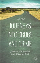 Angie Heal - Journeys Into Drugs and Crime