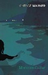 Alan Warner - Morvern Callar
