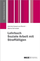 Gabriel Kawamura-Reindl, Gabriele Kawamura-Reindl, Sabine Schneider - Lehrbuch Soziale Arbeit mit Straffälligen