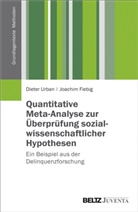 Joachim Fiebig, Diete Urban, Dieter Urban - Quantitative Meta-Analyse zur Überprüfung sozialwissenschaftlicher Hypothesen
