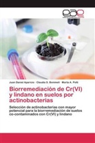 Juan Danie Aparicio, Juan Daniel Aparicio, Claudia Benimeli, Claudia S Benimeli, Claudia S. Benimeli, M Polti... - Biorremediación de Cr(VI) y lindano en suelos por actinobacterias