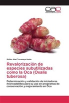 Shiller Abel Turumaya Andia - Revalorización de especies subutilizadas como la Oca (Oxalis tuberosa)