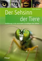 Esther Peterhans - Der Sehsinn der Tiere