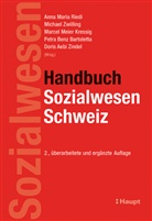 Doris Aebi Zindel, Petra Benz Bartoletta, Petra Benz Bartoletta u a, Marce Meier Kressig, Marcel Meier Kressig, Anna M. Riedi... - Handbuch Sozialwesen Schweiz