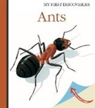Rene Mettler, René Mettler, Rene Mettler, René Mettler - Ants
