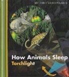 Claude Delafosse, Sylvain Peyrols, Sylvaine Peyrols, Sylvaine Peyrols - How Animals Sleep