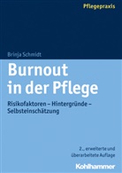 Brinja Schmidt - Burnout in der Pflege
