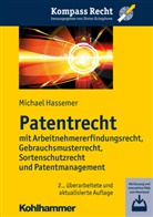 Michael Hassemer, Michael (Prof. Dr.) Hassemer, Diete Krimphove, Dieter Krimphove - Patentrecht