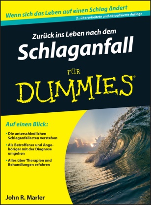 John R Marler, John R. Marler, Doren Paal - Zurück ins Leben nach dem Schlaganfall für Dummies