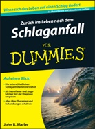 John R Marler, John R. Marler, Doren Paal - Zurück ins Leben nach dem Schlaganfall für Dummies