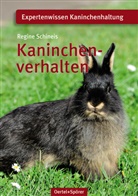Regine Schineis - Kaninchenverhalten