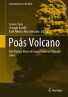 Raul Alberto Mora Amador, Raul Alberto Mora Amador, Raul Mora-Amador, Franco Tassi, Orland Vaselli, Orlando Vaselli - Poás Volcano
