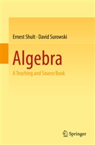 Ernes Shult, Ernest Shult, David Surowski - Algebra